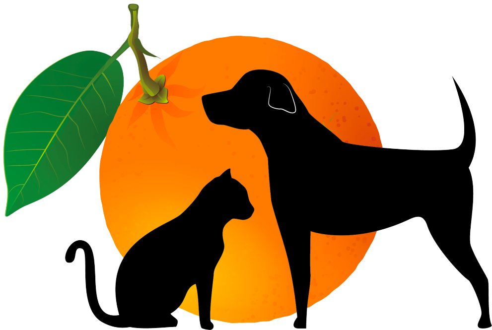 North Orange Logo